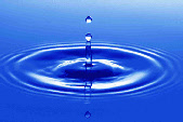 wp94f616f6_0f.jpg